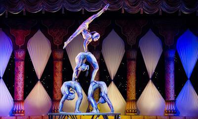 Circus