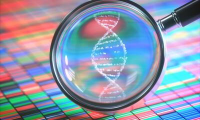 DNA